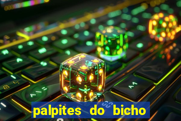 palpites do bicho no celular